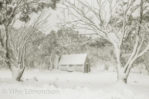 snowing at CRB hut near Dinner Plain-