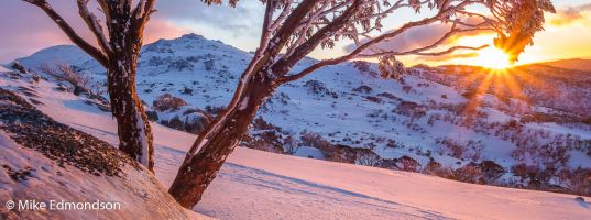 Sunrise Snowgum Ramshead Range