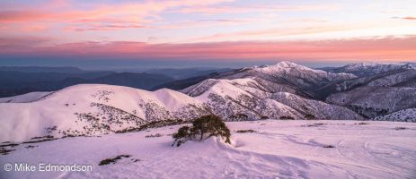 Mt. Feathertop & Mt Bogong Sunrise 