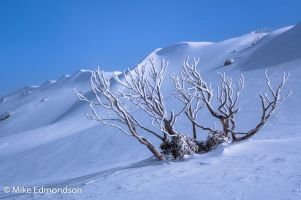 Snow dunes Guthega Trig