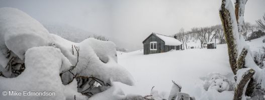 Snow garden at Whites River Hut 